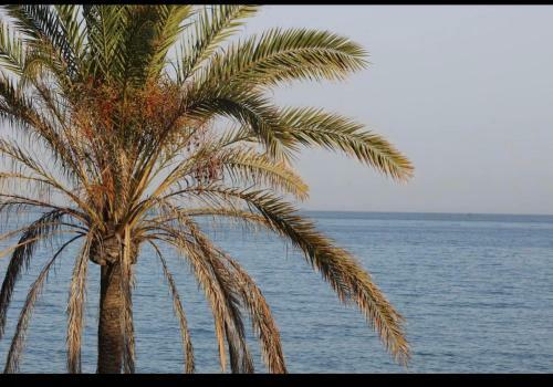 Lujosa Vivienda En Primera L�nea de Playa