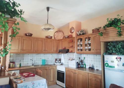 Apartamento Hara's House