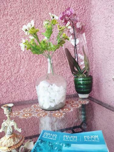 Apartamento Hara's House
