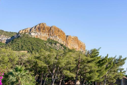Apartamento Les Voiles Blanches Par Dodo-a-cassis