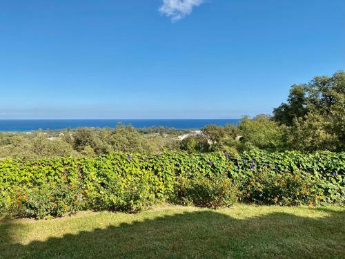Villa Panorama Maquis Et Mer, Plage � 1,5 Km