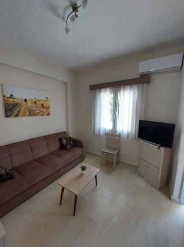 Androshouses - Agios Petros Beach Apartments