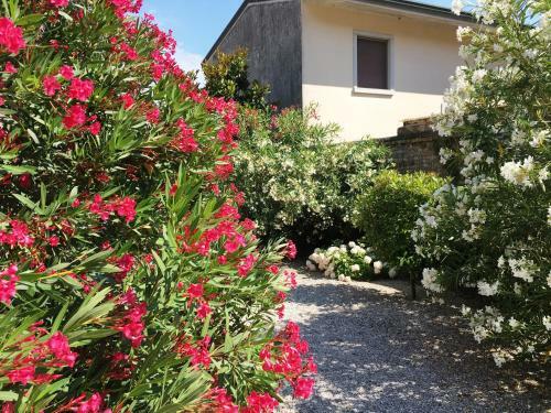 Palazzo Strassoldo Bed & Breakfast
