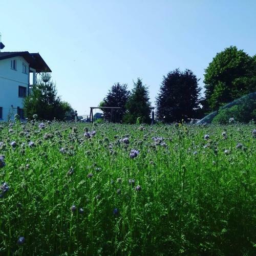 Bed & Breakfast La Lumaca Nel Pozzo