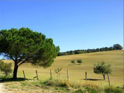 Holiday Home Capraccioni