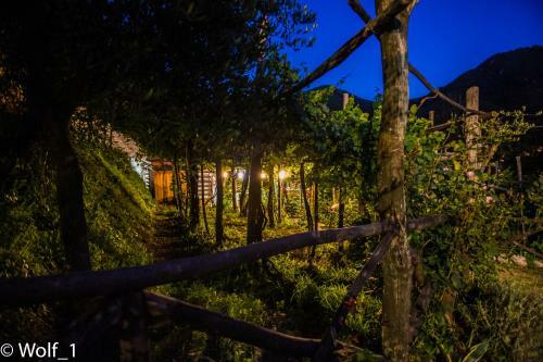 B&B Il Tintore