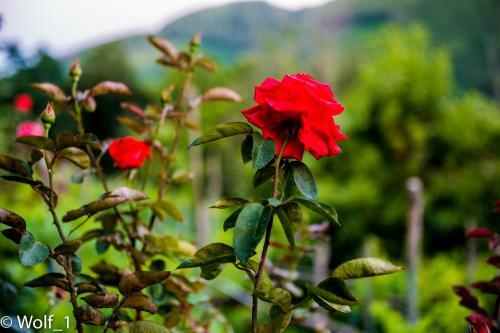 B&B Il Tintore