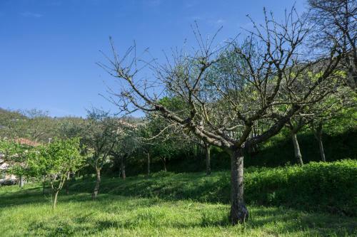 B&B Il Tintore