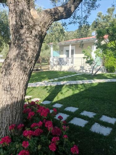 Villa Christos