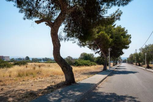 Apartamento Lungo Mare