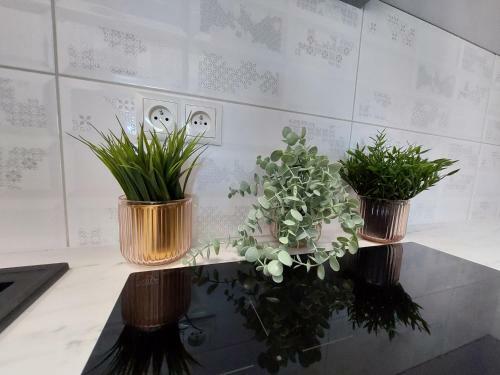 Apartament Typu Studio Blue Baltic Residence