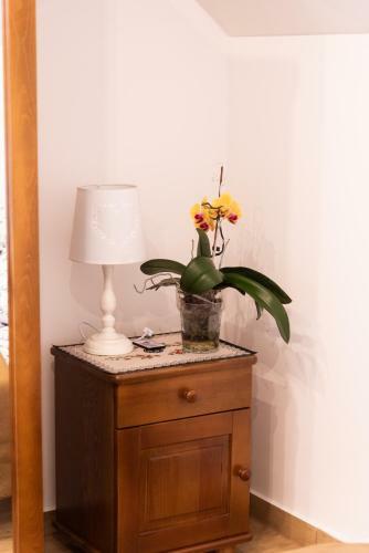 Apartamenty Home&spa