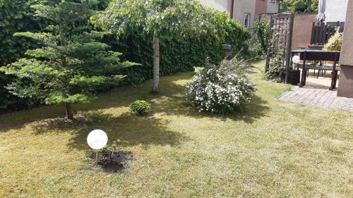 Apartament Pod Cisem