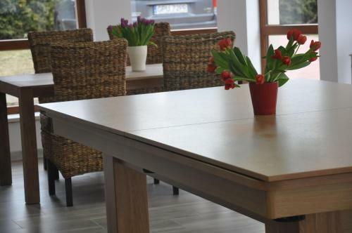 Apartamenty Levilla