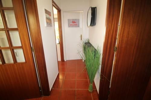 Apartamento T1 Tide - Guest House