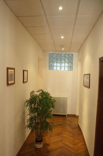 Hostal Pensione Rittmeyer
