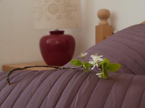 Hostal Giardino Alla Torre Room&breakfast