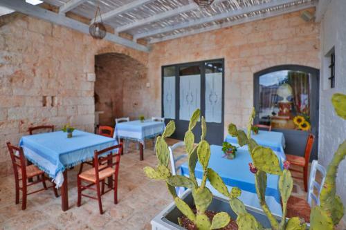 Agroturismo Masseria Casina Vitale