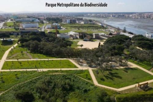 Moradia Da Palmeira Com Piscina