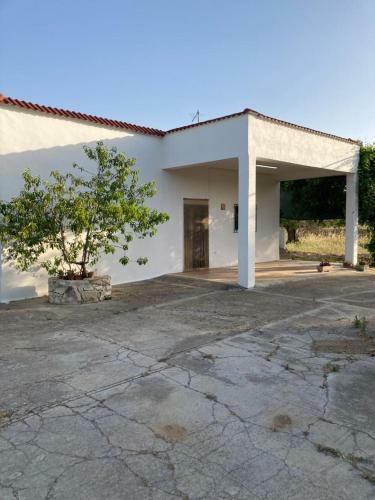 Casa Domitia