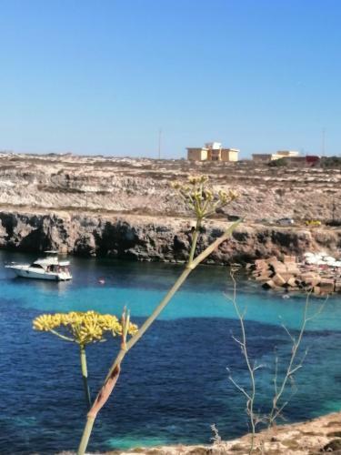 Monolocale Nelle Vicinanze Di Cala Pisana