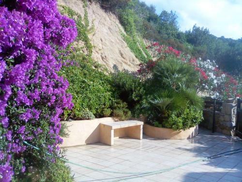 Appartamento Indipendente Con Vista Mare Mozzafiato