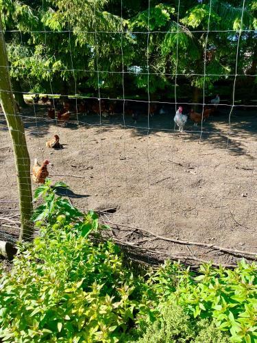 Agroturystyka Nad Jeziorem Silickim Ili?scy