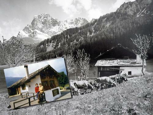 Hotel Maso Col