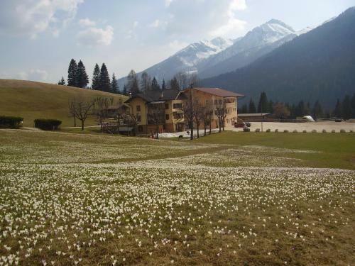 Hotel Maso Col