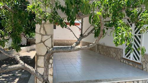 Villa Salento Localit� Torre Ovo - Villa Cice