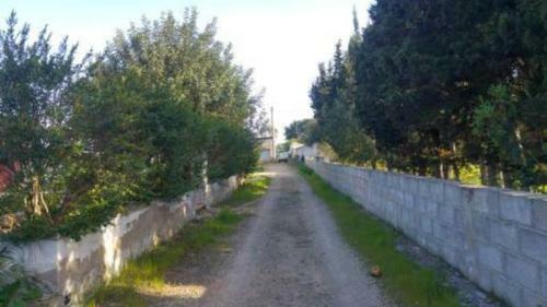 A 6 Km Da Porto Cesareo, La Casa Del Carrubo