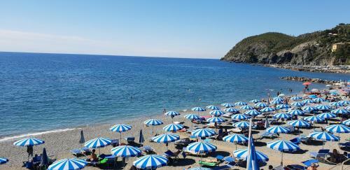 Apartamento Villa Norma