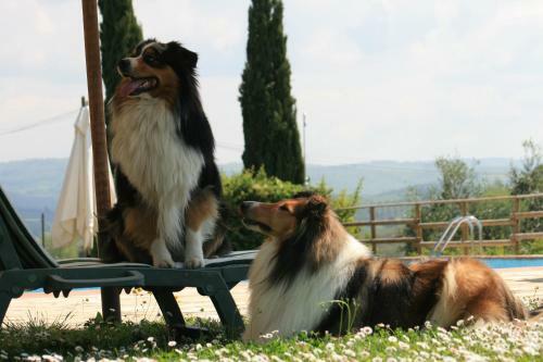 Agroturismo Agriturismo Il Torrione