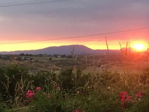 Hostal Rathmore House Bed & Breakfast