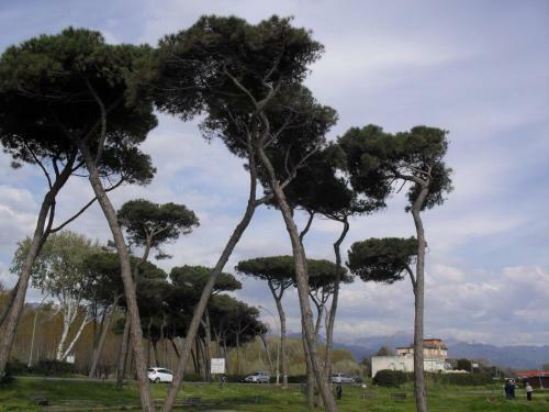 Apartamento Residence Pax