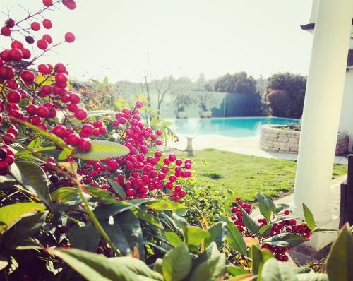Bed & Breakfast Maison Fortune