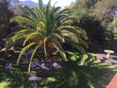Vivienda Vacacional El Cuetu Del Sella