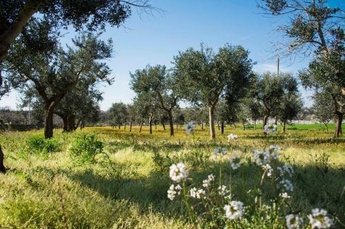 Agroturismo Trulli Centenari