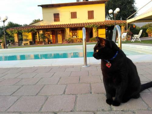 Hostal Colonica Poggio Renai