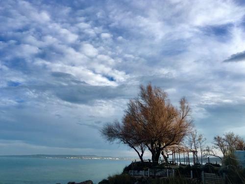 Bed & Breakfast Bagni Vittoria
