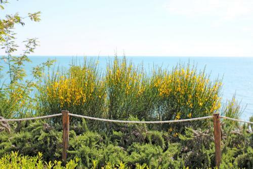 Bed & Breakfast Bagni Vittoria