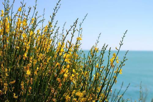 Bed & Breakfast Bagni Vittoria