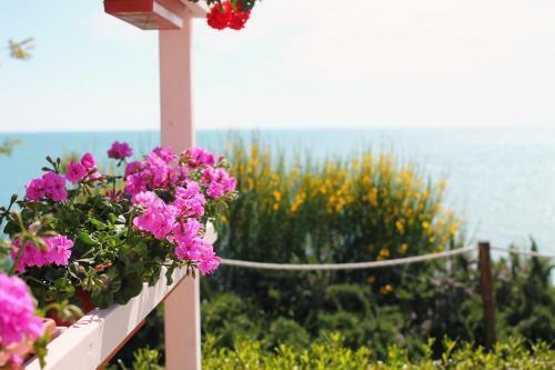 Bed & Breakfast Bagni Vittoria