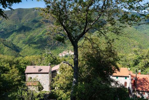 Single House In The Green Wild! Casa Karmel
