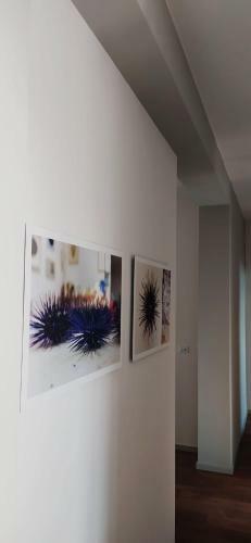 Apartamento La Casa Di Gino