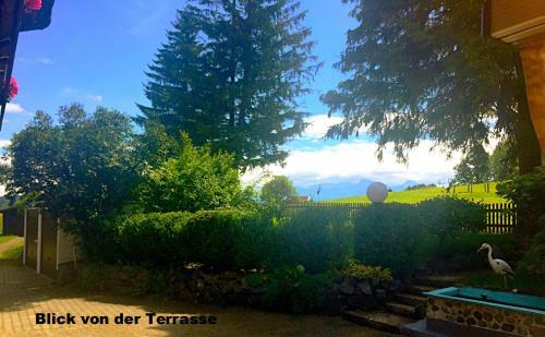 Apartamento G�stehaus Grieser