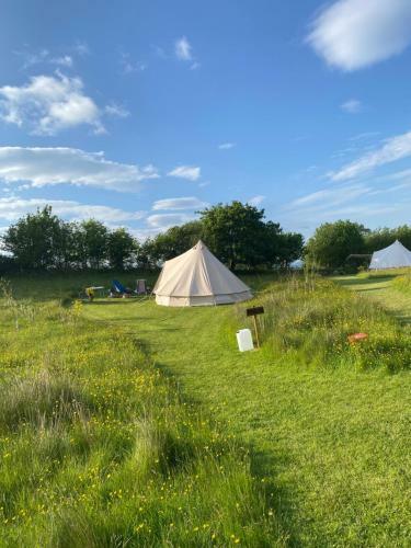 Daisy Bell Tent At Belan Bluebell Woods