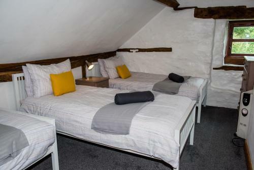 Apartamento Glyngynwydd