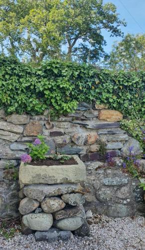 Green Cottage - Snowdonia