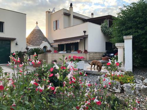 B&B Casa Delle Rondini